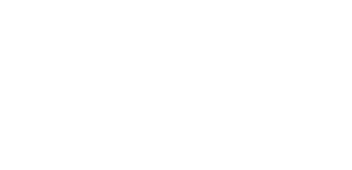 VEGAN GOURMET FESTIVAL